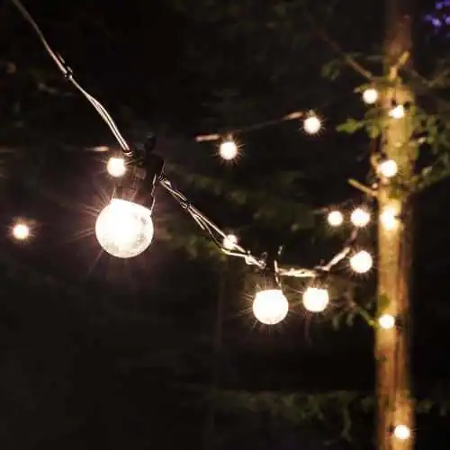 5m-Black-Festoon-Lights-1.webp